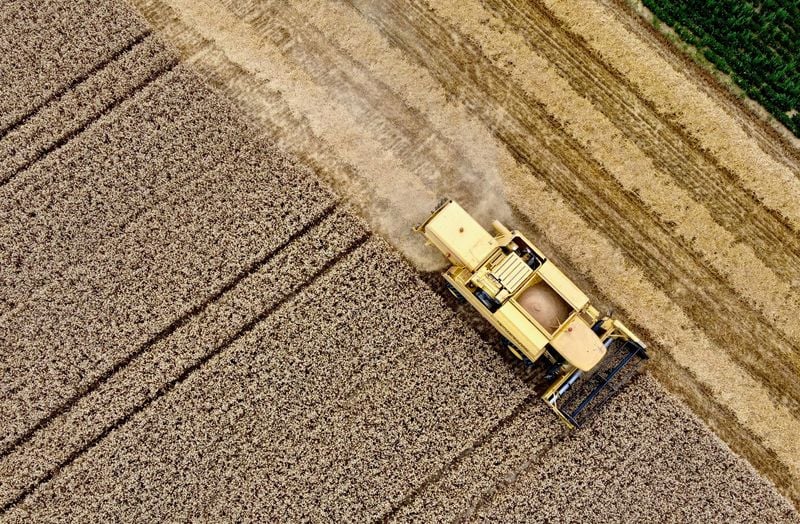 Image for EU wants farming subsidy cap in budget overhaul, draft shows