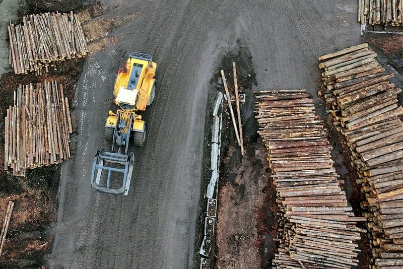 Image for Trump sets 10% tariff on lumber imports, 25% on cabinets and furniture