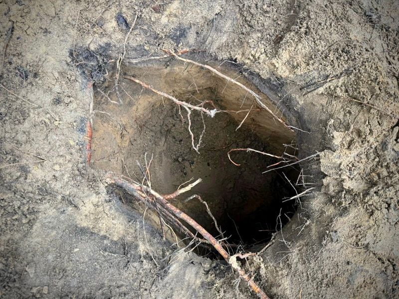 Image for Scores of migrants cross into Poland through hidden Belarus border tunnel