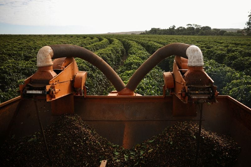 Image for EU deforestation law proposal frustrates Brazilian exporters, Rabobank says