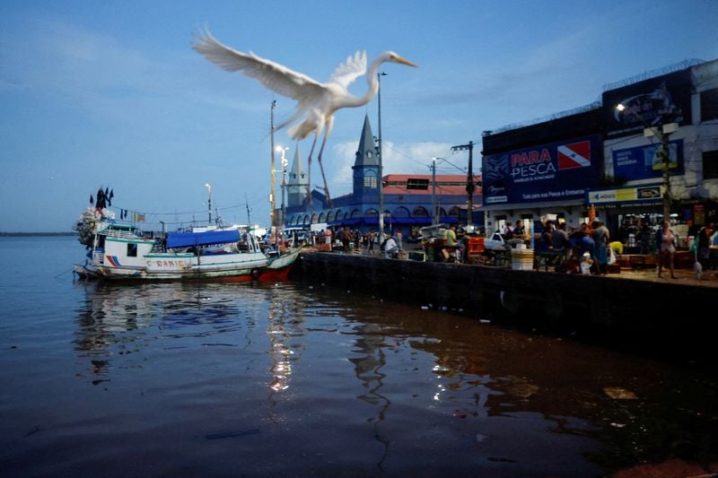 Image for Analysis-BRICS' climate leadership aims hang on healing deep divides