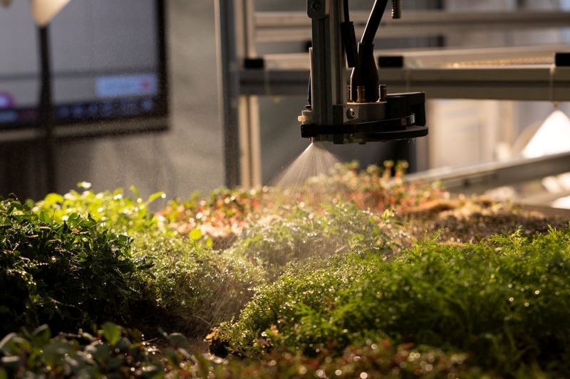 Image for Italy crafts lab-grown snacks with fruit residues, plant cells and a 3D printer