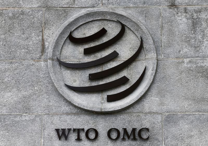 Image for WTO chair rules out reform deal at next major meeting, document shows