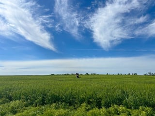 Image for Bayer takes its multi-front battle on pesticide liability to Kansas