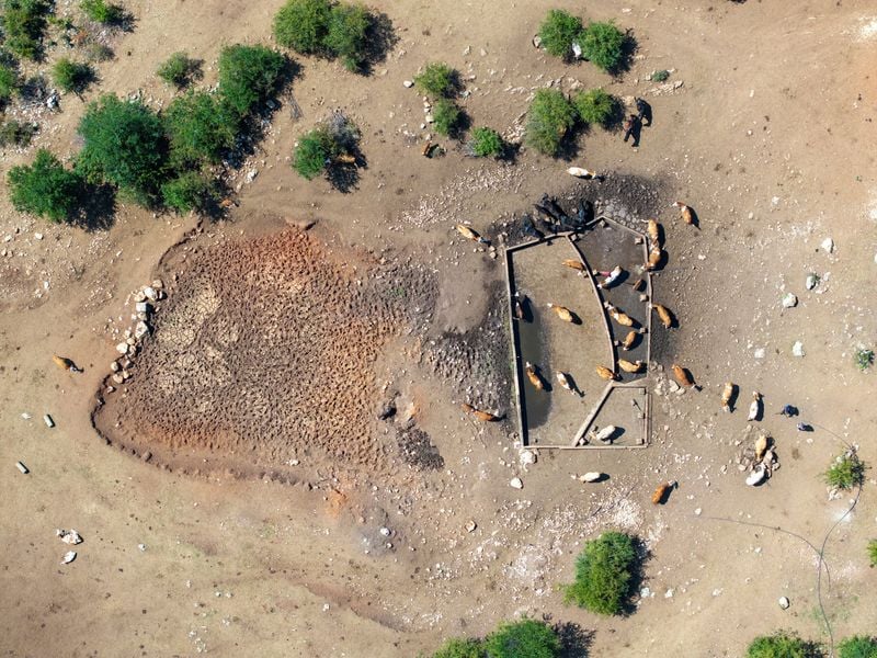Image for Drought stalks Serbia, harming livestock