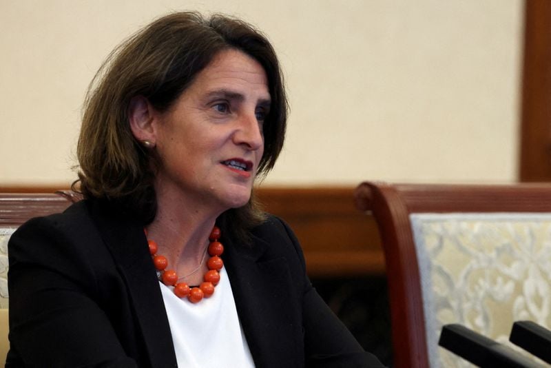 Image for EU antitrust chief Ribera open to state aid for crisis-hit heavy energy users