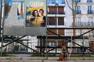 Image for Fetching votes: In Paris mayor's race, dogs dominate campaigns