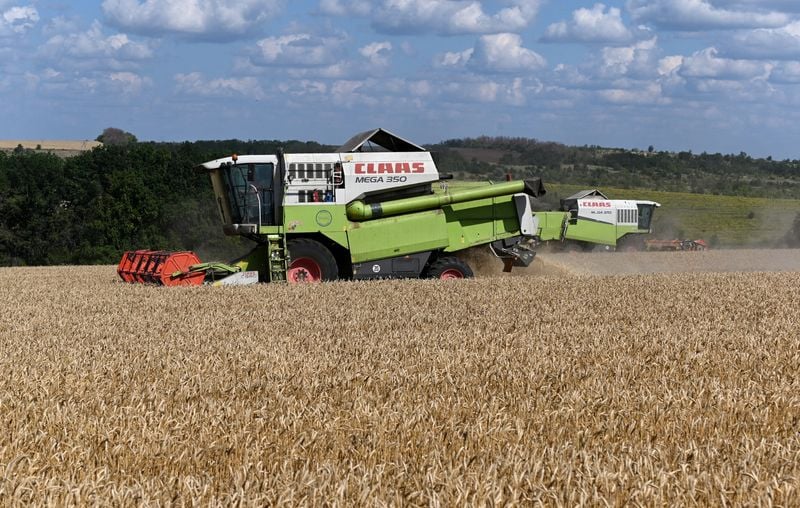 Image for Russia wants to boost agriculture exports through processing ventures abroad