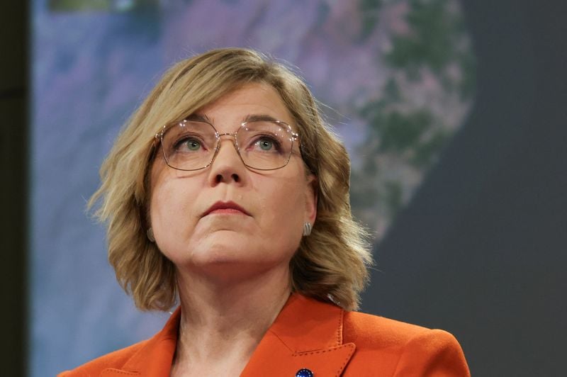 Image for EU wants to enlist online platforms to fight hybrid threats, EU document shows