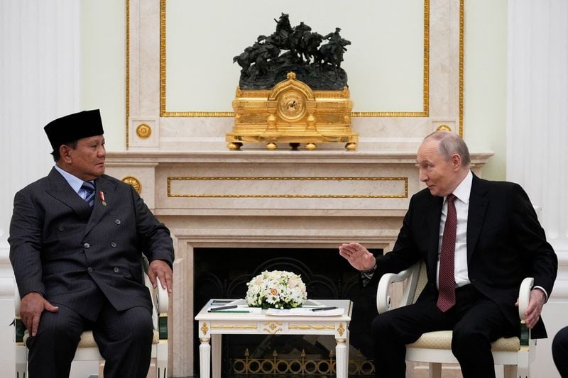 Image for Putin meets Indonesia's Prabowo to discuss military and energy ties, wheat exports
