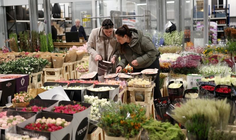 Image for UK economy shows signs of resilience ahead of expected tax-hike budget