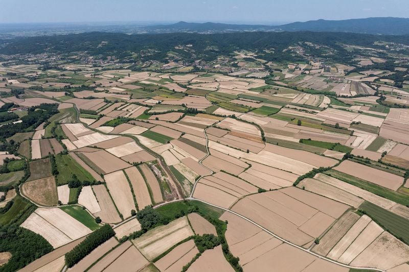 Image for EU efforts to diversify critical raw material imports fail so far, auditors say