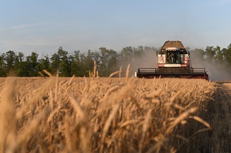 Image for Afghanistan turns to Russia for some food supplies amid Iran-Israel war