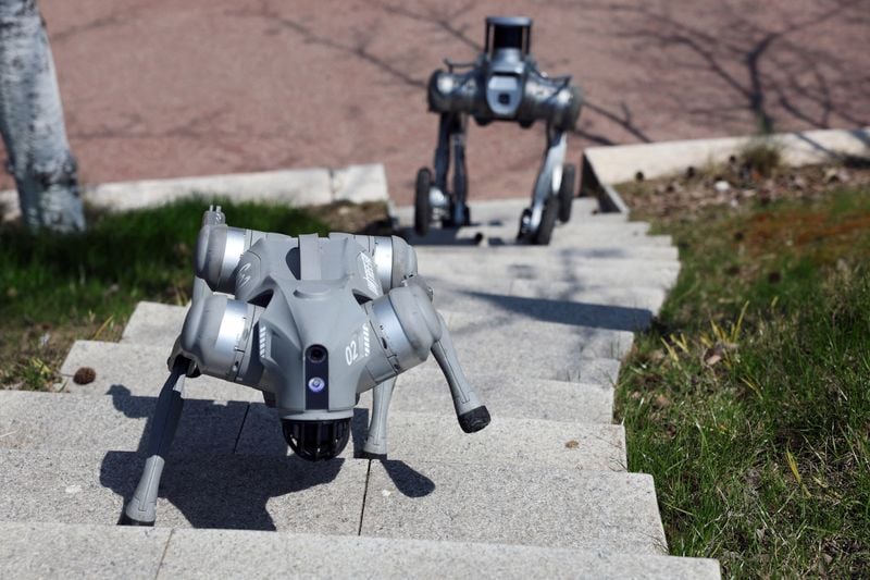 Image for Robot dogs and AI drone swarms: How China could use DeepSeek for an era of war