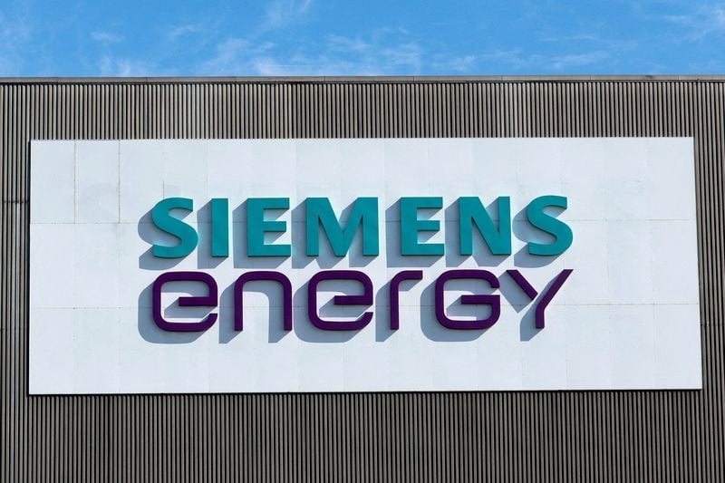 Image for Siemens Energy should not 'squander' wind division, top-20 investor says