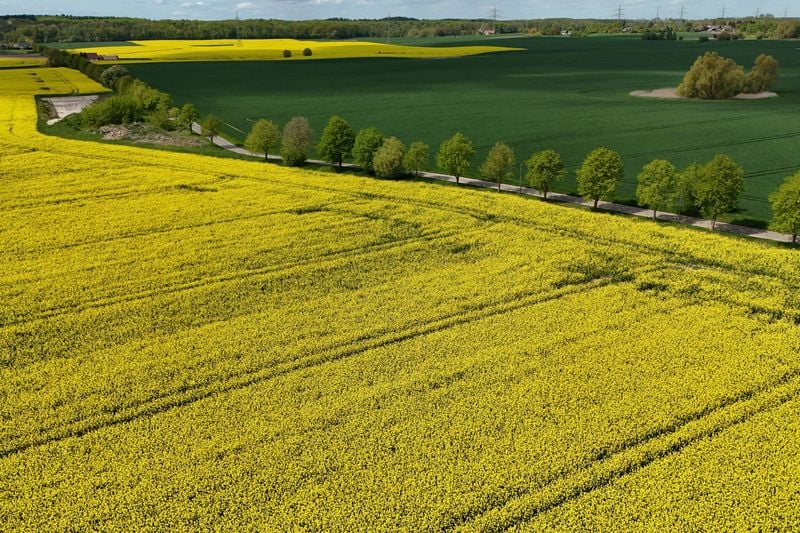 Image for Germany on track for 2030 climate goal, future targets at risk, government advisers say