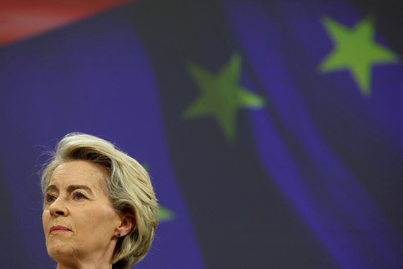 Image for Next EU budget must be more flexible, have new revenues says von der Leyen