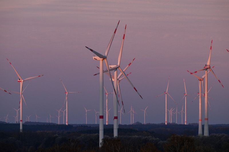 Image for Europe commits to wind energy expansion despite Trump criticism, draft shows