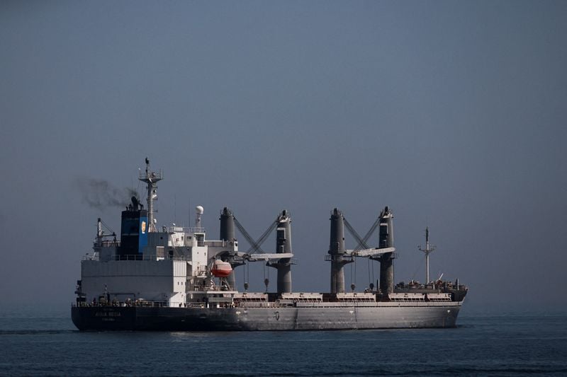 Image for Black Sea shipping insurance rates rise after Ukraine attacks tankers, sources say
