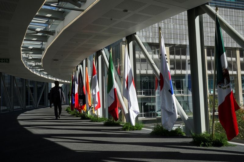 Image for Poor, indebted countries need collective relief, African leaders say