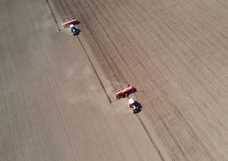 Image for Confusion over documents halts Ukrainian rapeseed, soybeans exports, union says