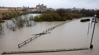 Image for Farmers report 'catastrophic' damage to crops as Storm Marta hits Spain and Portugal