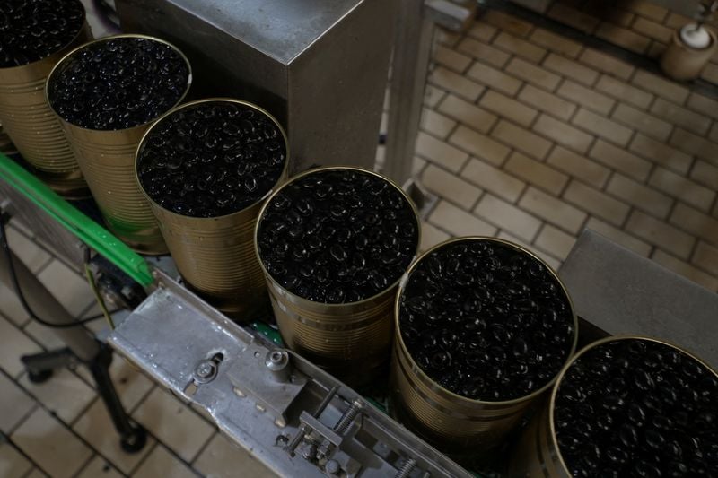 Image for Spain's black olive exporters to struggle under fresh US tariffs