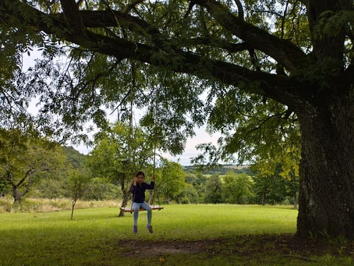 Prosredná Pivnica, 1710193619209.jpg