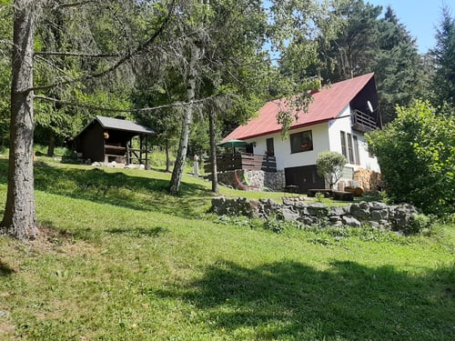 20200808_105414.jpg