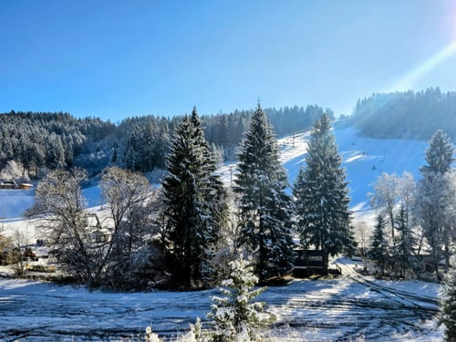 Wellness Vila Limaco Jasenská Dolina, 1000013356.jpg