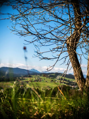 Chalety BUČINA Sever, P1030802.jpg