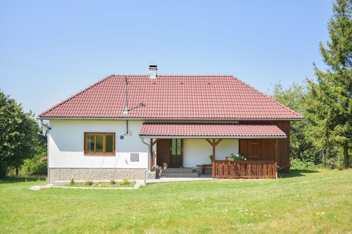 Cottage on meadow flowers DSC_6829[1].jpg