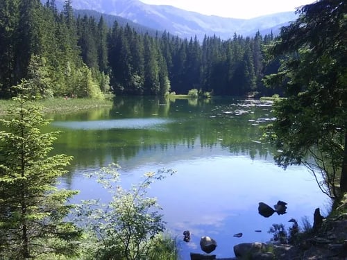 LIPTOVSKÁ DREVENICA - apartmány Superior, Vrbické Pleso 