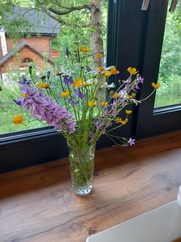 Drevenička na Čertove, 1000010154.jpg