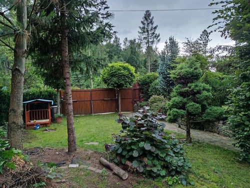 Zrub u Bradáča, 69270D6F-E8C5-4D23-A651-EF727B20BA6B.jpeg