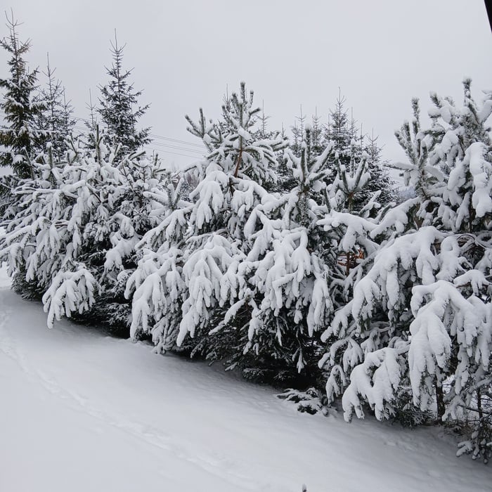 Chata Poľana 1000005293.jpg