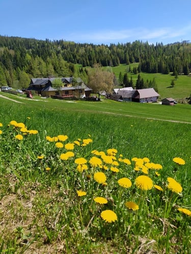 Apartman Bachledova dolina, image_3.jpg