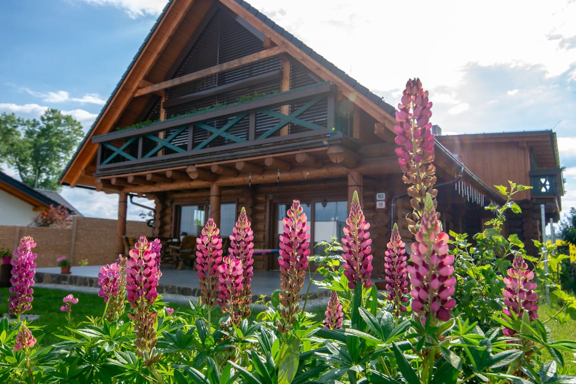 Zrub Kriváň - Chalet with Mountain View