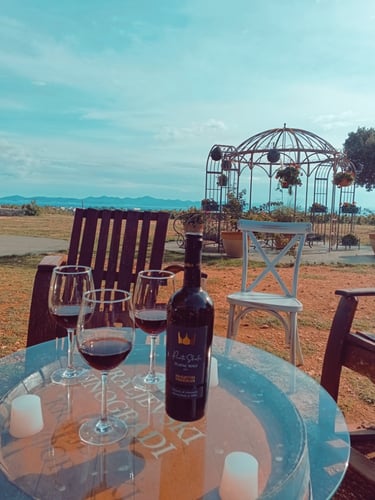 Apartmán Bobrik na Vir Croatia, IMG_20240917_164111_517.jpg