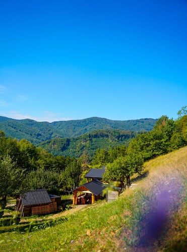 Na samote u Lesa, 7f79b646-cda0-40b2-a6b6-f5fff972096b.JPG