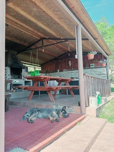 Chalupa Podproč, IMG20230531153921~2.jpg