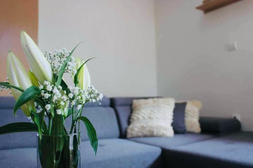 Country House Liptov, IMG-20240415-WA0004.jpg