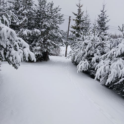 Chata Poľana, 1000005291.jpg