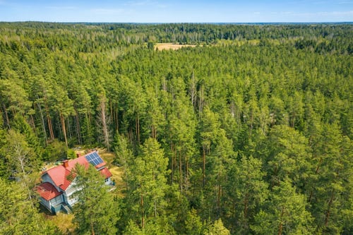 Mokki Katja, 1000112561.png