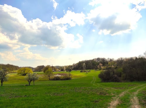 Prosredná Pivnica, 4.jpg