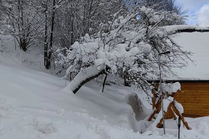 Chalet Martina a9000-chalet-martina-20231213-010821-7045.jpg.webp