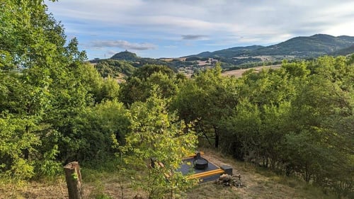 Green Bela, image_2.jpg