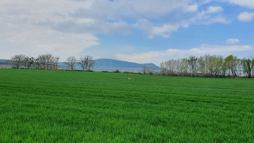 Rekreační domy Milovice - dům č. 17, 20220423_112109.jpg