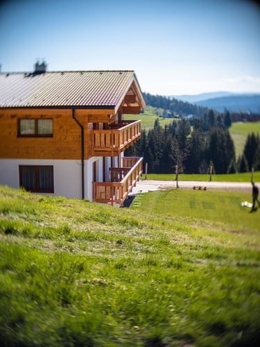 Chalety BUČINA Sever, P1030799.jpg