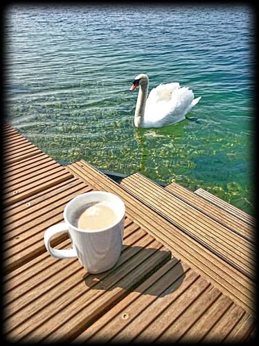 TopSenec - Lakeside Home, 2020-03-11-13-48-35.jpg